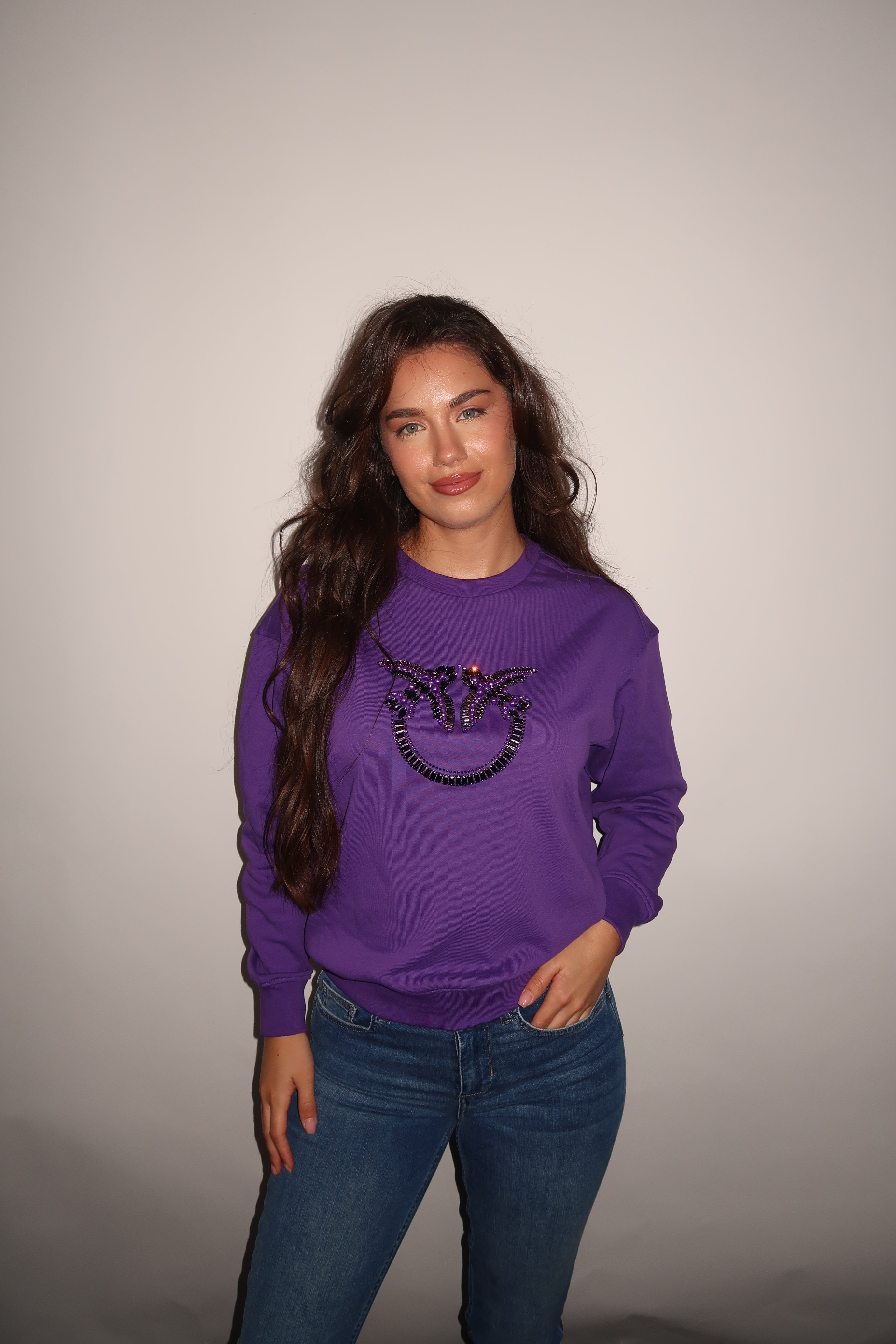 Pinko Nelly Sweater in Paars